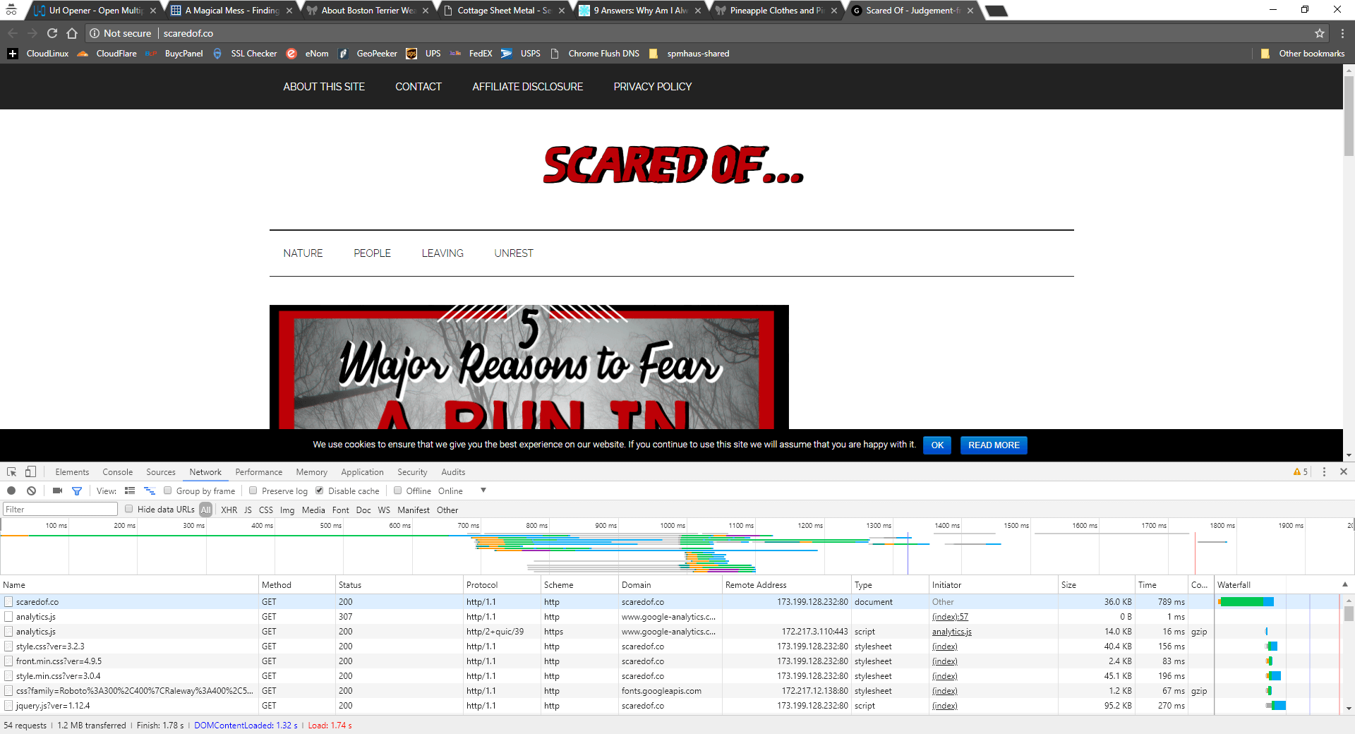 www.scaredof.co Speed Comparison Before